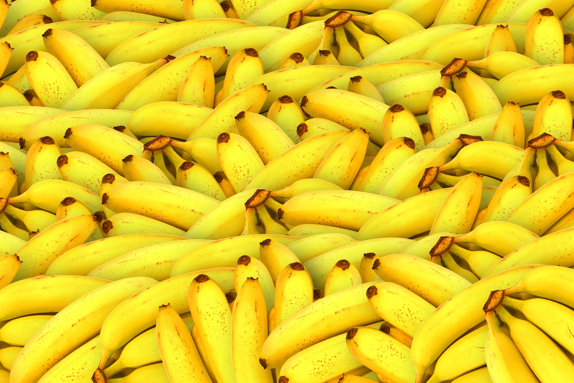 bananas-1119790_1920