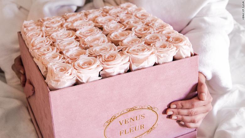 180208180055-venus-et-fleur-pink-roses-780x439